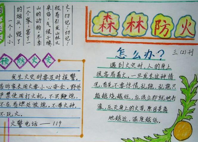 防火手抄报图片大全