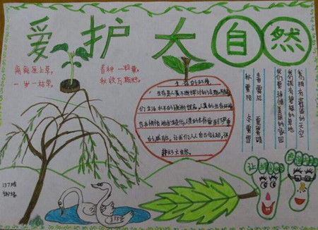 自然资源手抄报图片