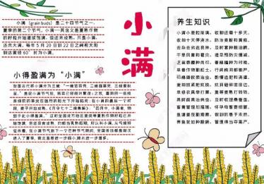 小满手抄报图片大全