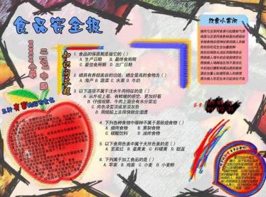 安全知识手抄报图片大全