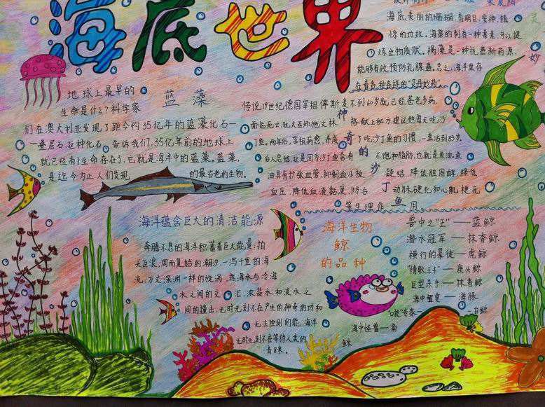 世界发展宣传手抄报图片3