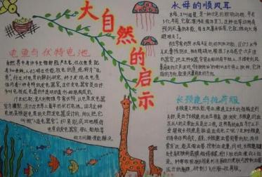 大自然的启示手抄报