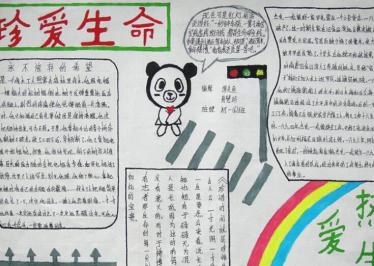 热爱生命的手抄报