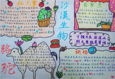 沙漠手抄报图片大全1