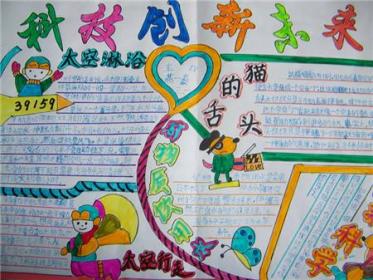 科学食物链手抄报1