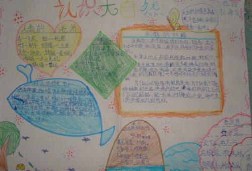 科学食物链手抄报2