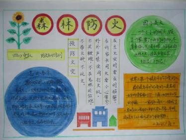 森林手抄报图片大全3