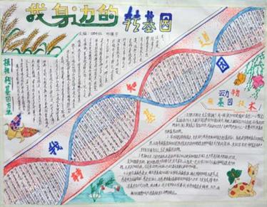 转基因手抄报图片大全3