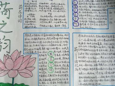 关于花的手抄报