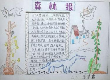 冬天的手抄报