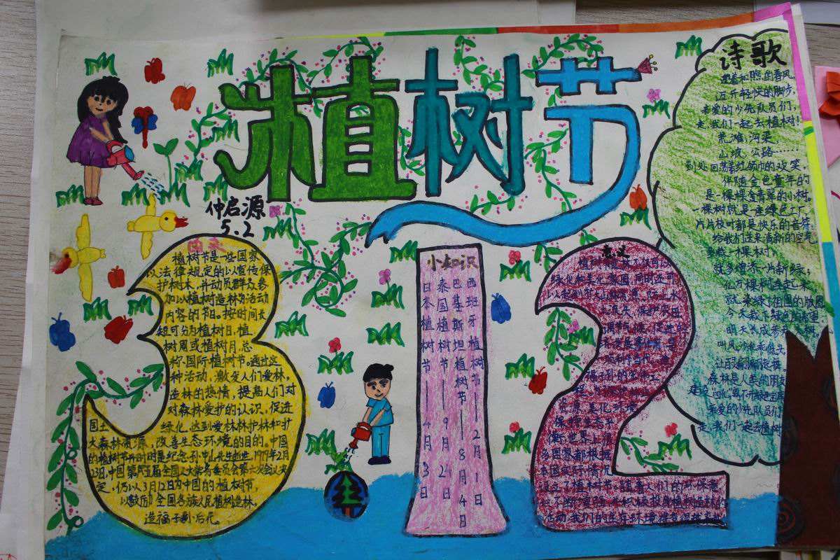 关于植树造林的手抄报
