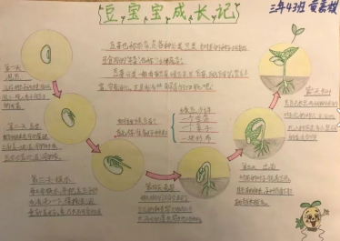 观察手抄报图片大全3