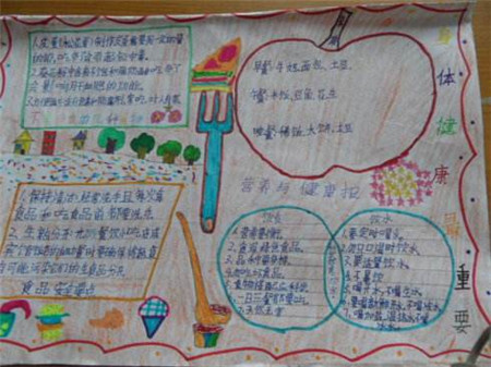 科学营养手抄报图片大全集3