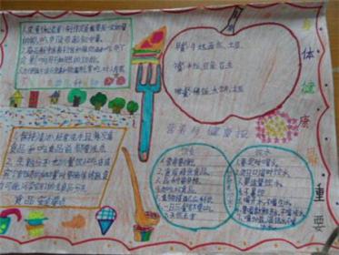 科学营养手抄报图片大全集3