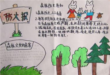 森林小小手抄报图片大全1