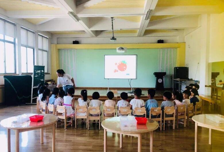 大班科学西红柿旅行记教案2