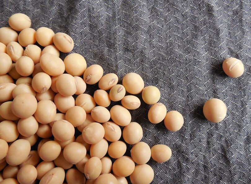 减肥饮食需要注意哪些 