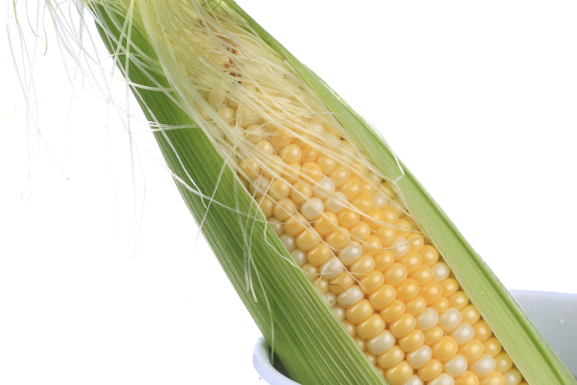玉米须可以减肥吗