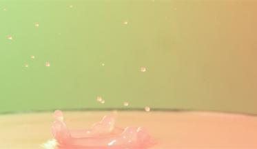 胎教故事大全每天一个：国王是第四个傻瓜