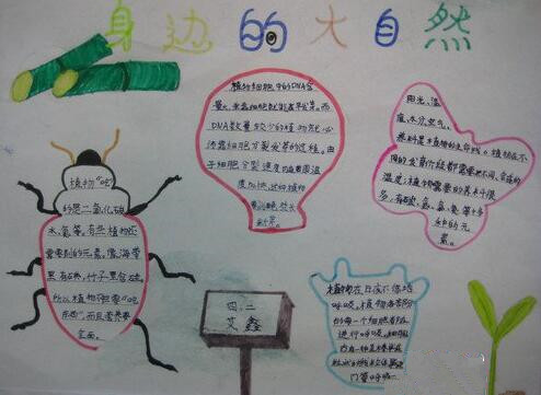科学与自然手抄报内容3
