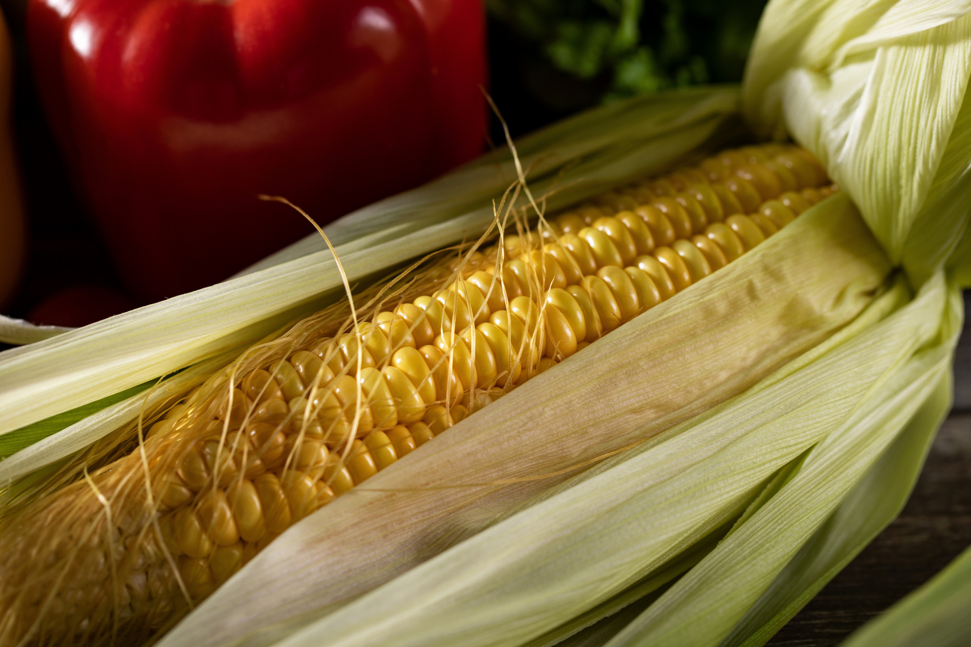 玉米须可以减肥吗3