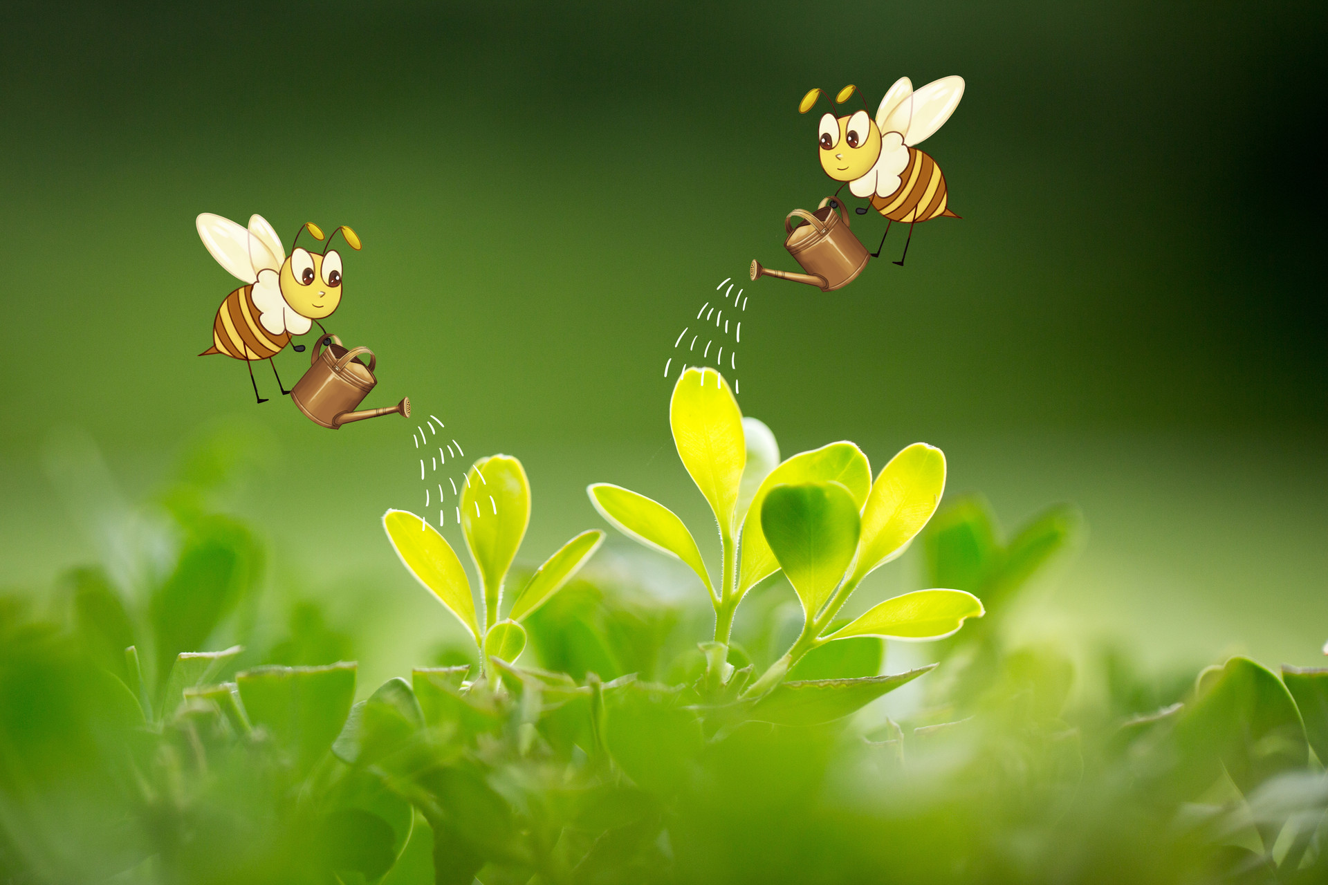 The Baby Bumblebee
