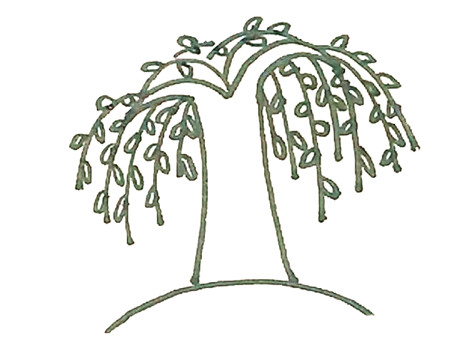 植物简笔画柳树彩色的简笔画教学