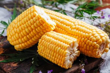 玉米的功效与作用及营养价值