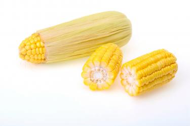 玉米的养生功效6