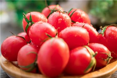 西红柿的营养价值及功效5