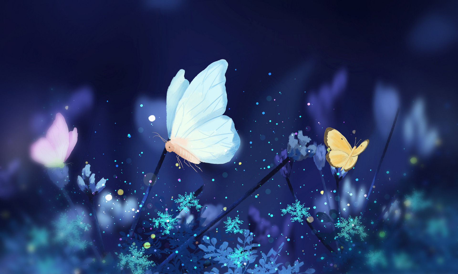 Fly Fly Fly the Butterfly