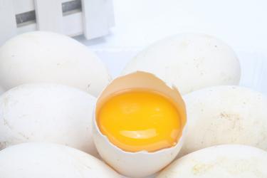 吃鹅蛋可以预防新生儿黄疸吗1