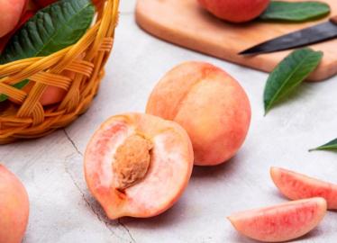 桃子的桃核属于什么垃圾