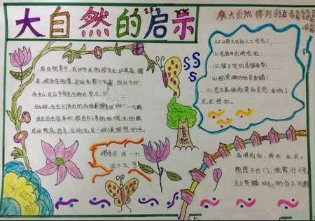 生态平衡手抄报图片大全1