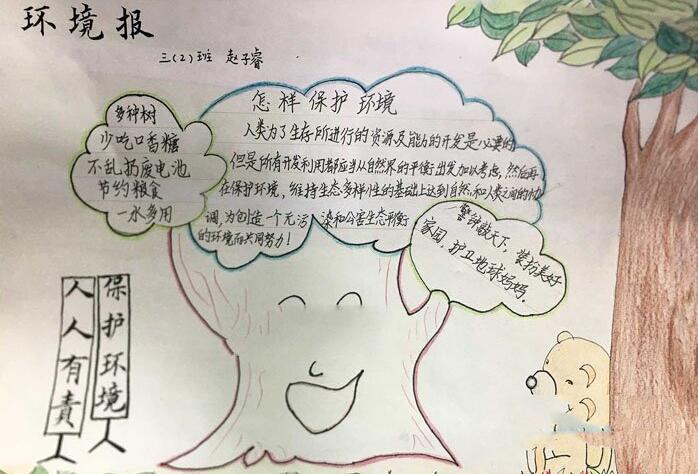 生態平衡手抄報圖片大全