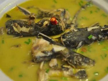 黄颡鱼的功效与作用