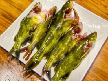 黄颡鱼的功效与作用 黄颡鱼的功效与作用