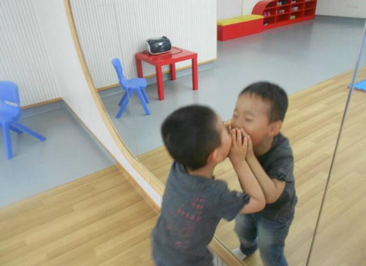小班儿歌照镜子教案1