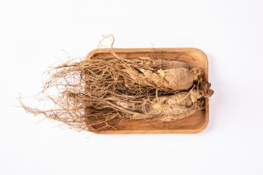 人参的养生功效有哪些5