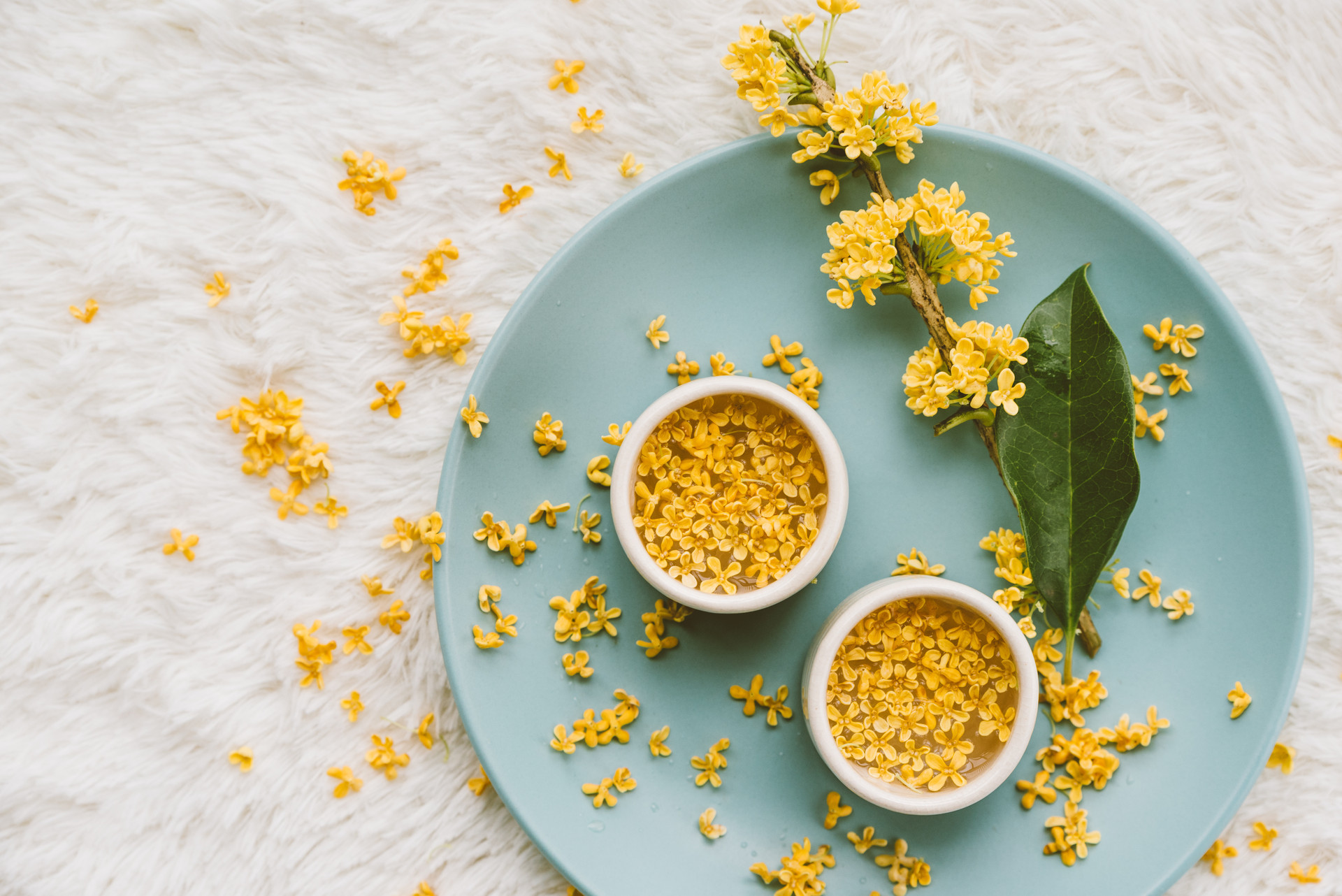 哪种桂花可以食用