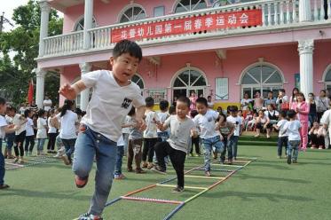 大象的长鼻子科学教案2