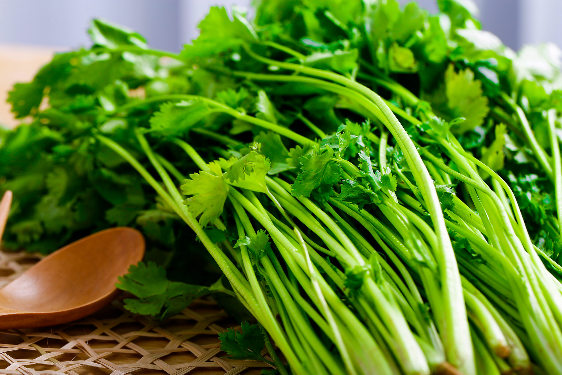 香菜減肥怎麼吃最好3