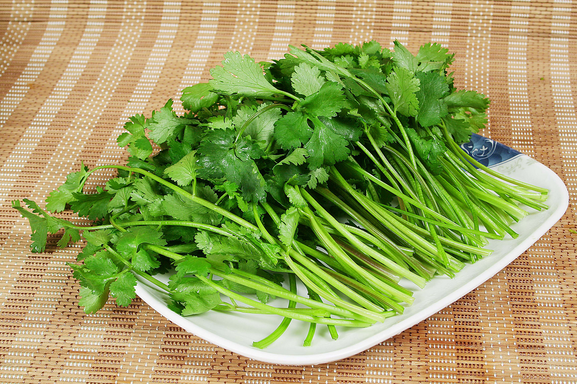 香菜的功效有哪些 香菜的营养价值2