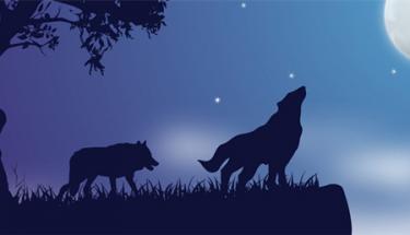 童话故事有哪些：一只笨狼