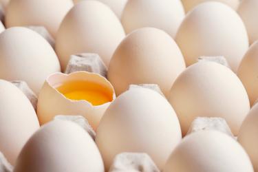 鸡蛋壳治胃病偏方