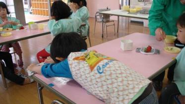 幼儿好宝宝不挑食教案3