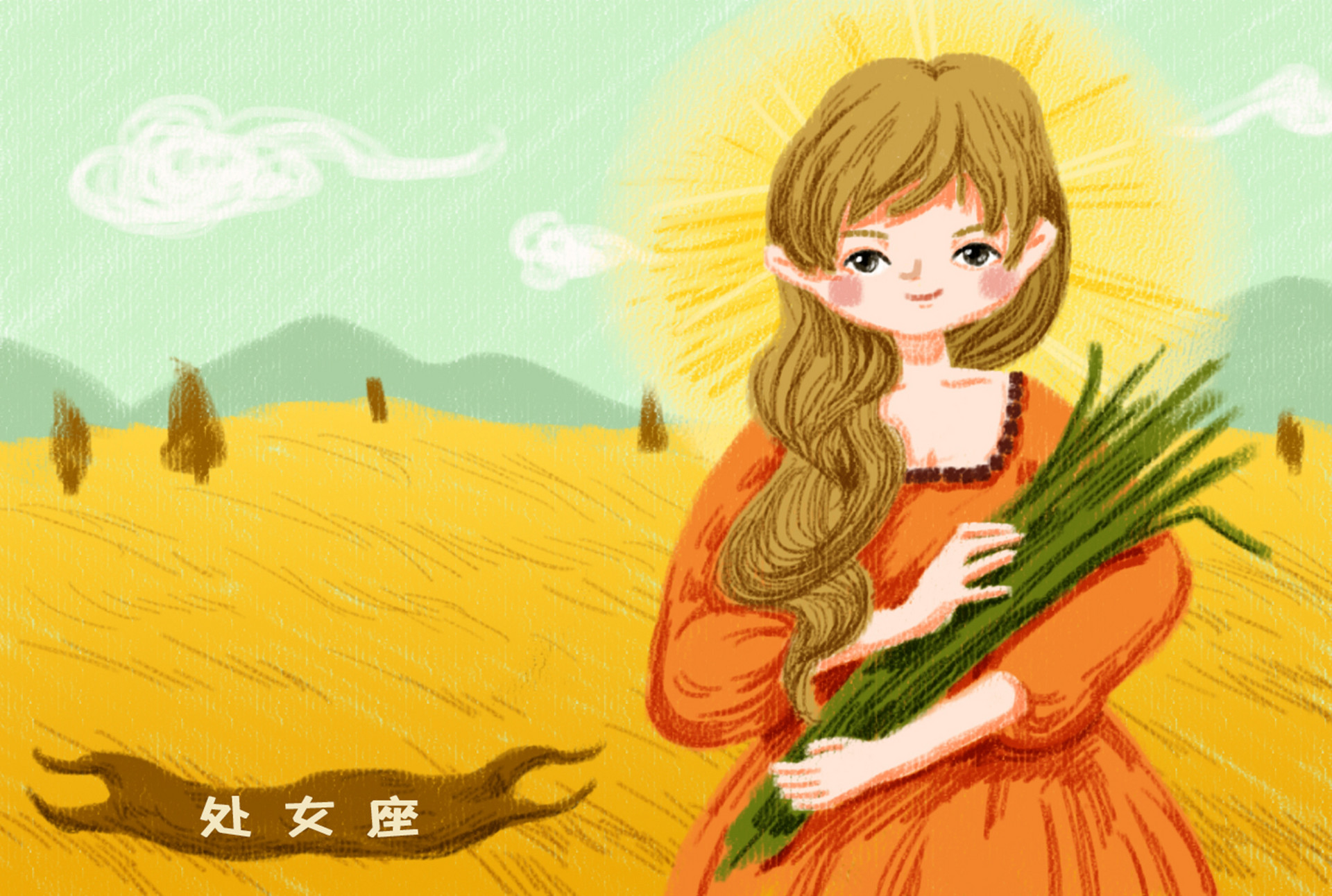 处女座的故事
