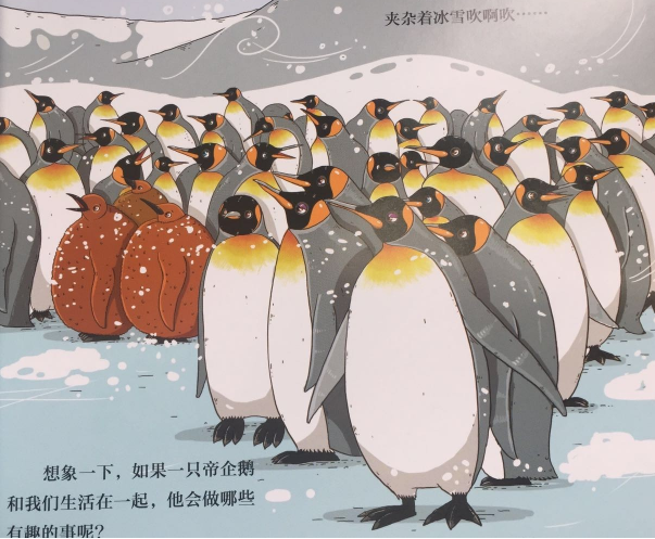 企鹅会骑自行车吗