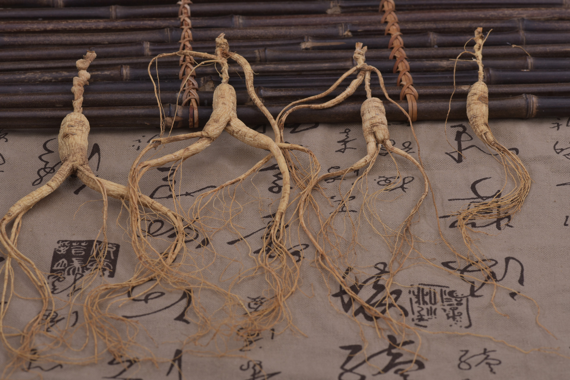 哪些人不适合吃人参5
