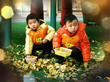 幼儿园小树叶找妈妈教案3